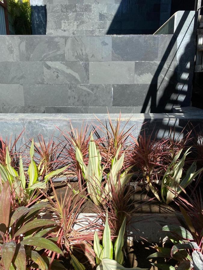 Las Naveiras Apartment Tamarindo Bagian luar foto